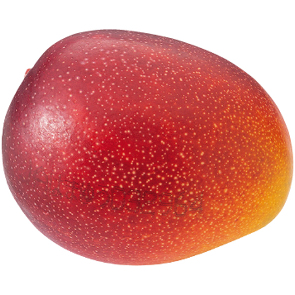 【父の日】愛媛県産・宮崎県産 紅まどんな入りゼリー・宮崎マンゴー【486884】 商品画像(2)