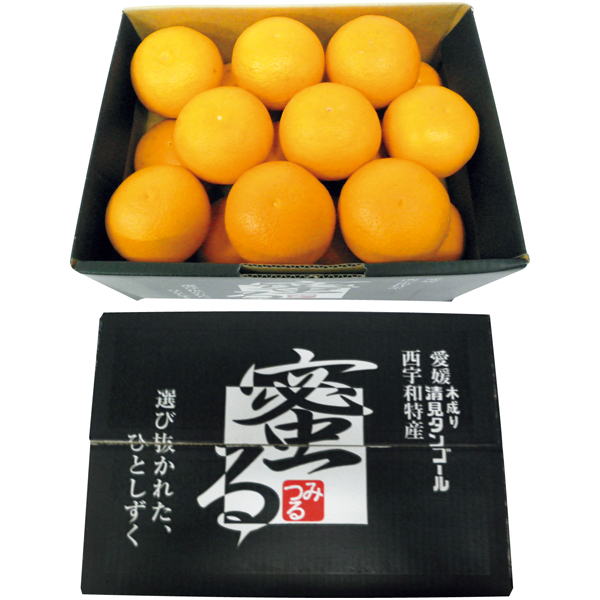 【母の日】愛媛県産 蜜る清見オレンジ【484123】 商品サムネイル