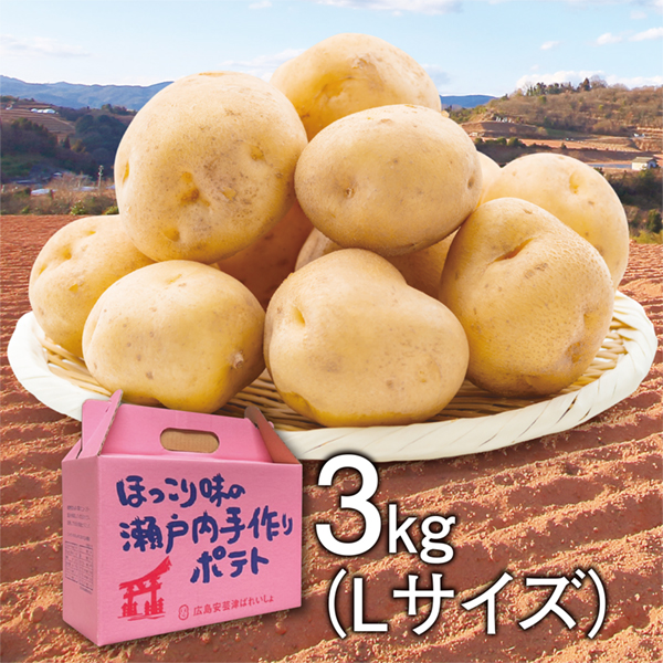 [広島県産]　安芸津マル赤馬鈴薯　Lサイズ　3kg【425272】 商品サムネイル