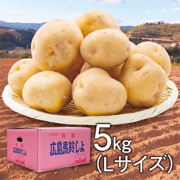 [広島県産]　安芸津マル赤馬鈴薯　Lサイズ　5kg【425263】 商品サムネイル