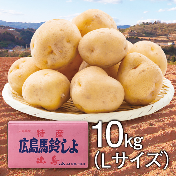 [広島県産]　安芸津マル赤馬鈴薯　Lサイズ　10kg【425254】 商品サムネイル