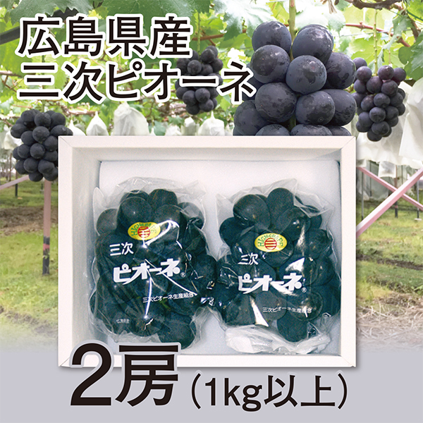 [広島県産]　三次ピオーネ　2房（1kg以上）【417723】 商品サムネイル