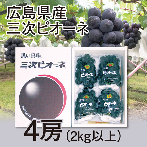 [広島県産]　三次ピオーネ　4房（2kg以上）【417714】 商品サムネイル