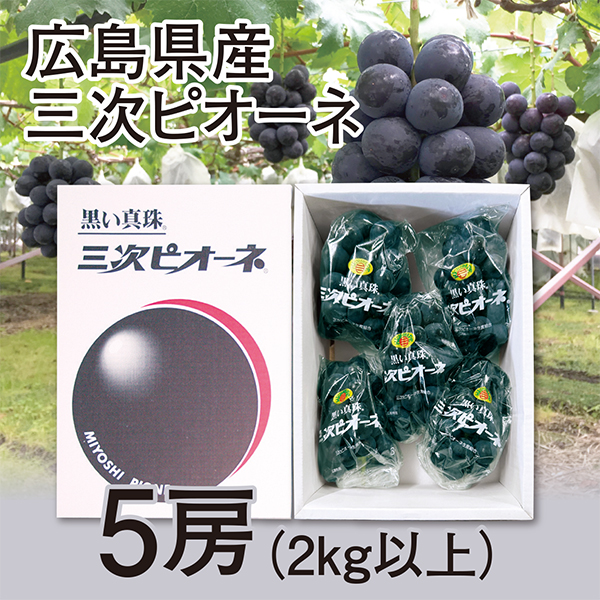 [広島県産]　三次ピオーネ　5房（2kg以上）【417705】 商品サムネイル