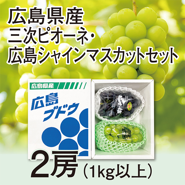 [広島県産]　三次ピオーネ・広島シャインマスカットセット　2房（1kg以上）【417750】 商品サムネイル