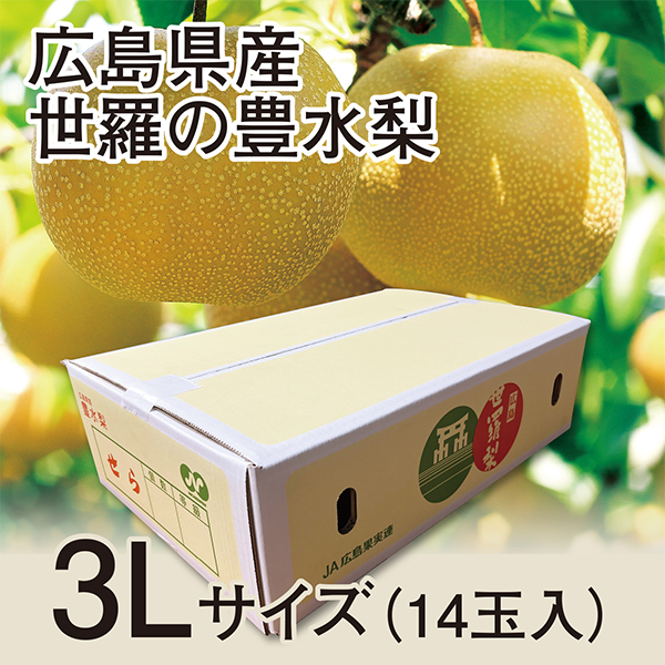 【9/11以降順次発送】【広島県産】世羅の豊水梨 3Lサイズ(14玉入)【428066】 商品サムネイル