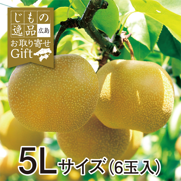 【9/11以降順次発送】【広島県産】世羅の豊水梨 5Lサイズ(6玉入)【428084】 商品サムネイル