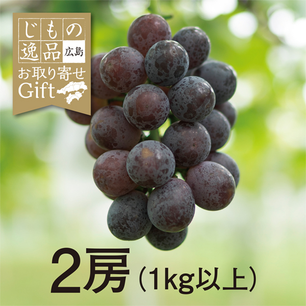 【9/1以降順次発送】【広島県産】八天堂ファームのピオーネ 2房(1kg以上)【428233】 商品サムネイル