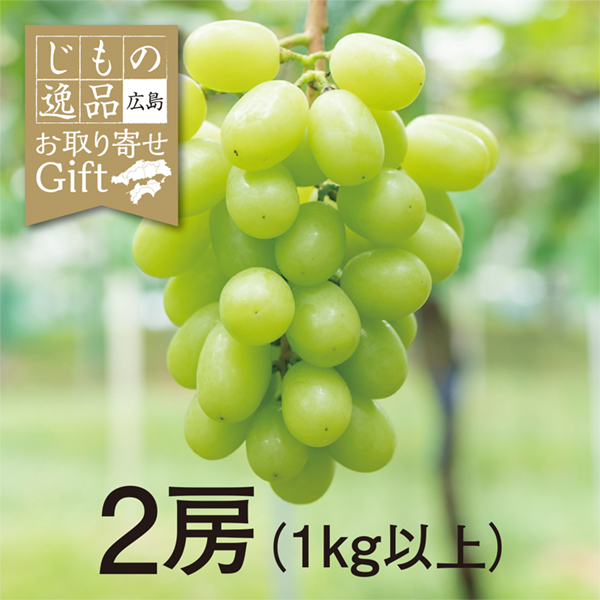 【9/11以降順次発送】【広島県産】八天堂ファームのシャインマスカット 2房(1kg以上)【428242】 商品サムネイル