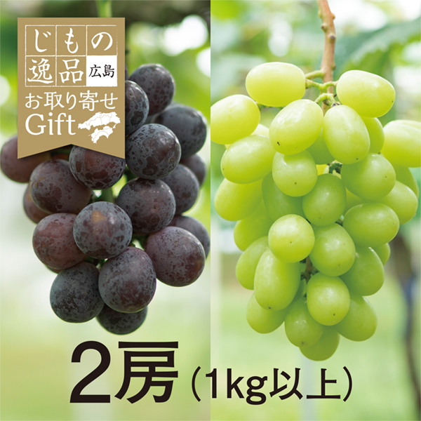 【9/11以降順次発送】【広島県産】八天堂ファームのピオーネ＆シャインマスカット 2房(1kg以上)【428251】