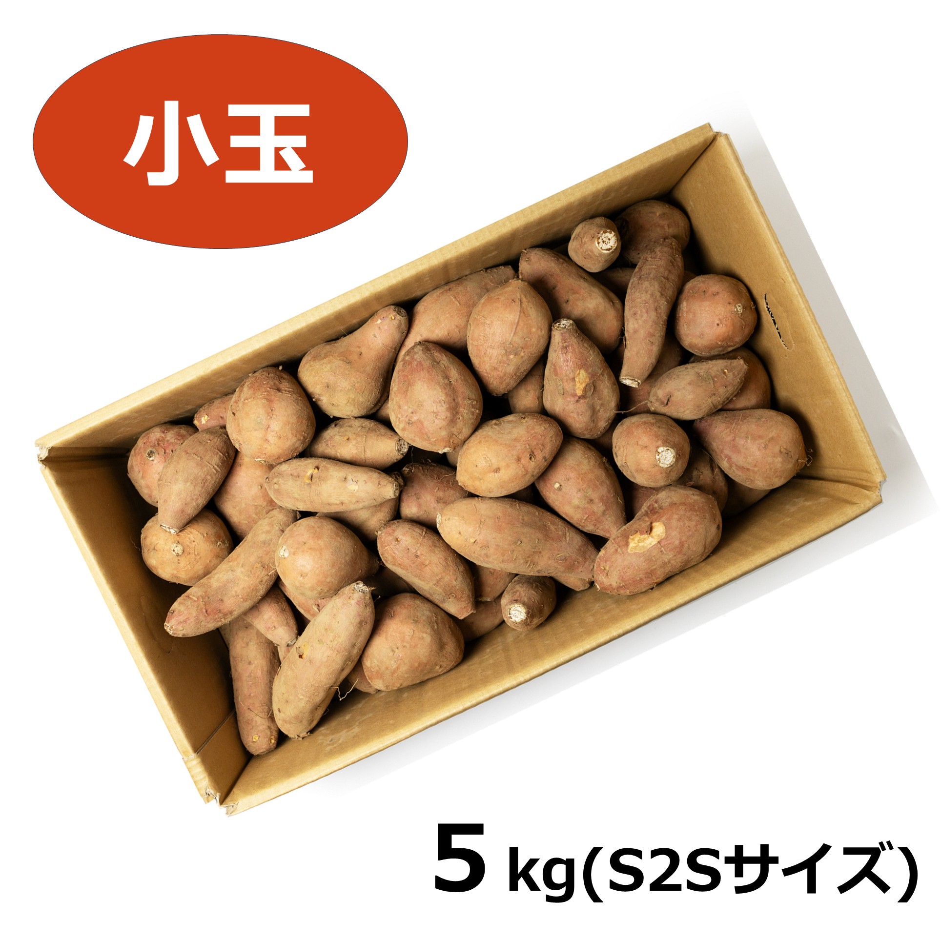 【鹿児島県種子島産】中園ファームの安納芋(小玉) S2Sサイズ 5kg【送料込】 商品サムネイル