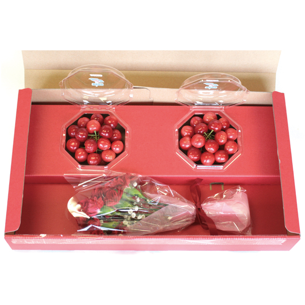 【母の日】山形県産 さくらんぼ（佐藤錦）カーネーションミニ花束【483540】 商品サムネイル