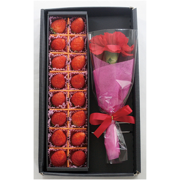 【母の日】宮城県産 いちご＆カーネーション【483513】 商品サムネイル