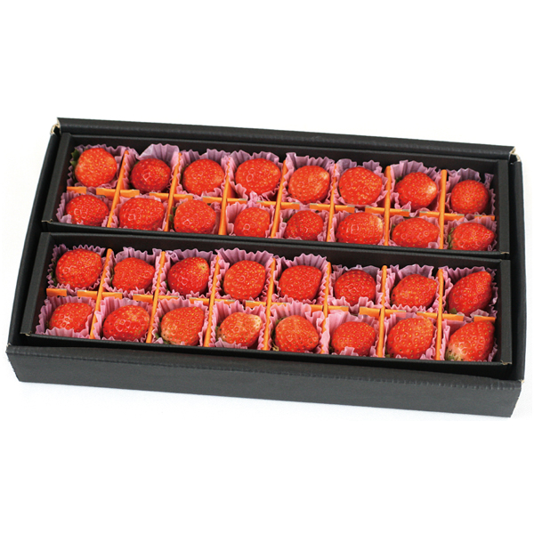 【母の日】宮城県産 母の日いちご（とちおとめ）【483522】 商品サムネイル