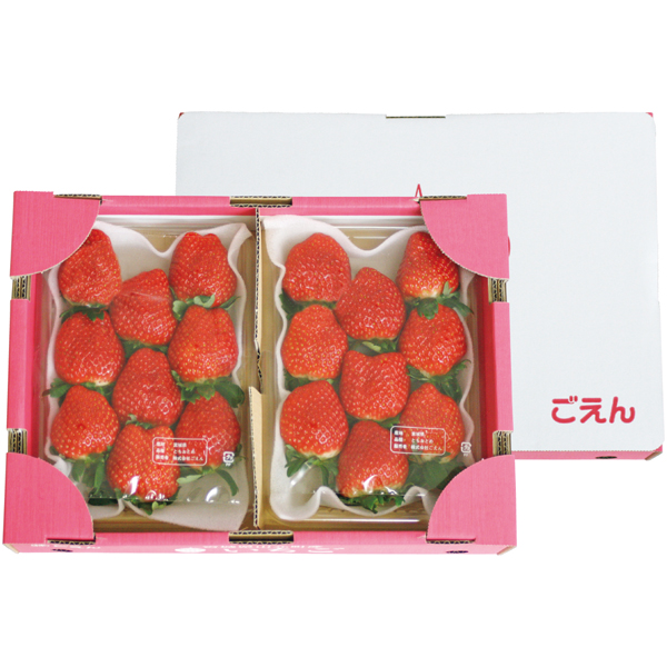宮城県産（山元町） 大粒いちご（大笑い） 【162470】【冬☆】 商品サムネイル