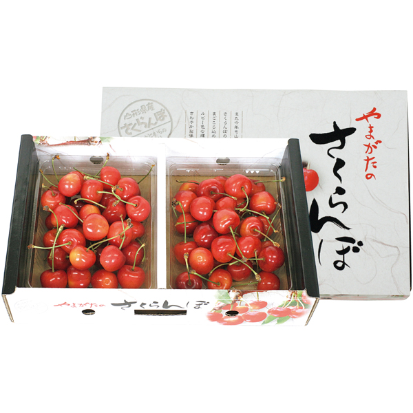 山形県産　さくらんぼ（佐藤錦又は紅秀峰）【000028】【夏ギフト】 商品サムネイル