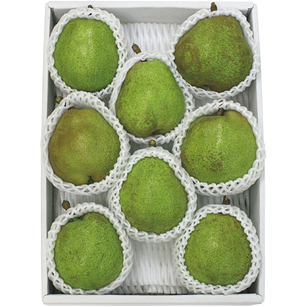 山形県産 ラ・フランス 2kg 【162948】【冬☆】 商品サムネイル