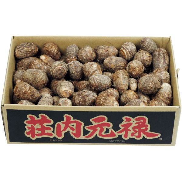 山形県産（庄内砂丘地） 土つき里芋「荘内元禄」 【163707】【冬☆】 商品サムネイル