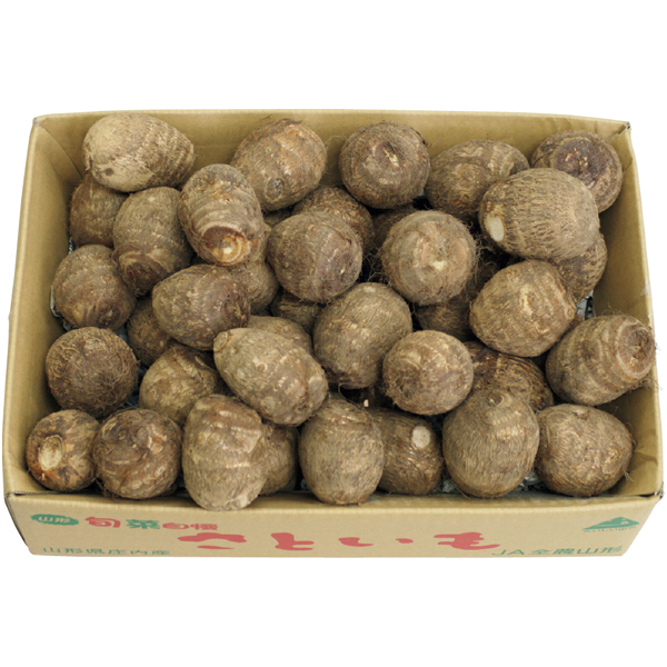 山形県産 どだれ里芋 【163691】【冬☆】 商品サムネイル