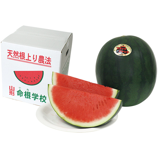 ☆[山形県村山市産（門脇農園）]殆どタネのないすいか「ブラックジャック」【031073】 商品サムネイル
