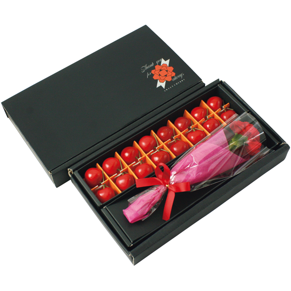 【母の日】山形県産 さくらんぼ佐藤錦とカーネーション【480279】 商品サムネイル