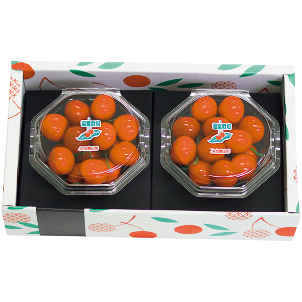 【母の日】山形県産 さくらんぼ（佐藤錦）100g×2【483531】 商品サムネイル