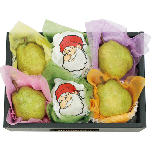 ◇山形県産（上山市） クリスマスの西洋梨（ラ・フランス） 【152093】 商品サムネイル