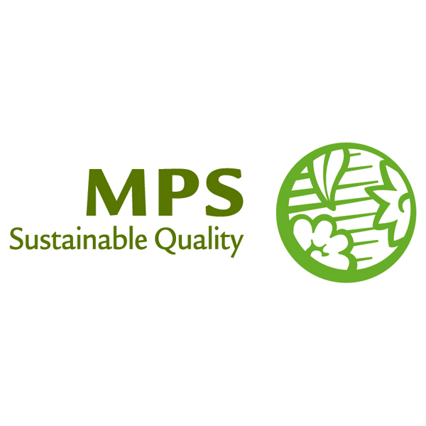 【母の日】タカハシプランテーション ガーベラ カラフル寄せ植え(SUSTEE付)【480774】 商品画像(1)