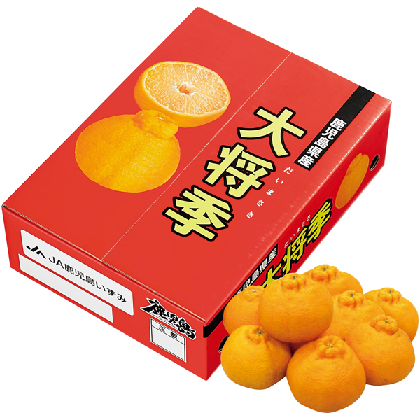 鹿児島県産（JA鹿児島いずみ） 大将季 【162911】【冬☆】 商品サムネイル