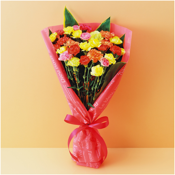 【母の日】竹中庭園緑化 彩りカーネーションブーケ【480516】 商品サムネイル