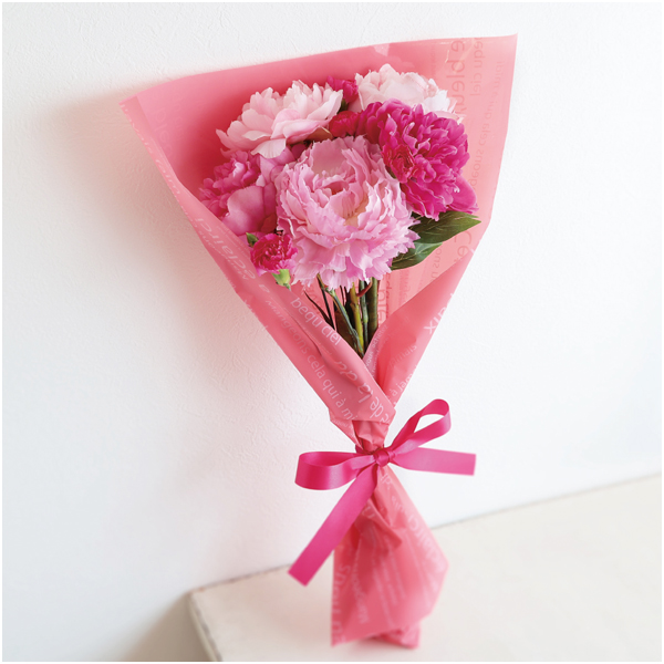 【母の日】竹中庭園緑化 しゃくやく5種のおくりもの【485344】 商品サムネイル