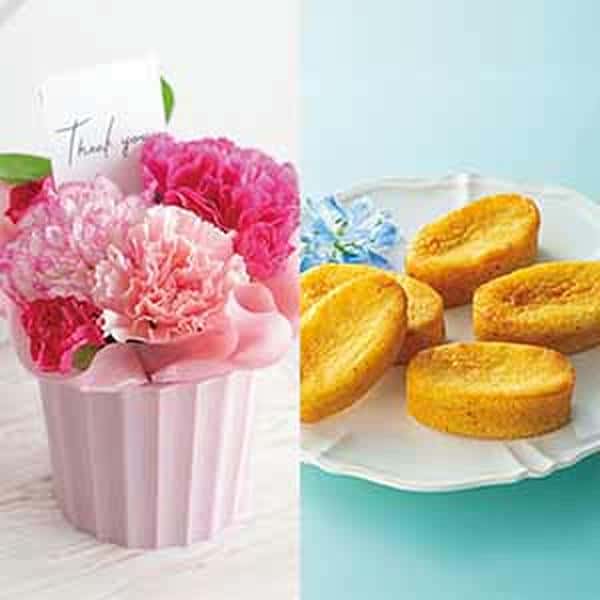 【母の日】竹中庭園緑化 母の日カーネーションアレンジ＋ひととえ こがね芋【485371】 商品サムネイル