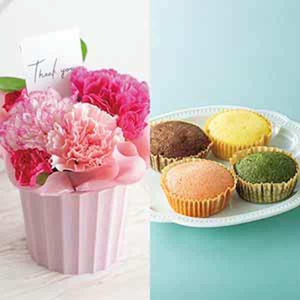 【母の日】竹中庭園緑化 母の日カーネーションアレンジ＋雪の雫 スイーツパレット【485423】 商品サムネイル