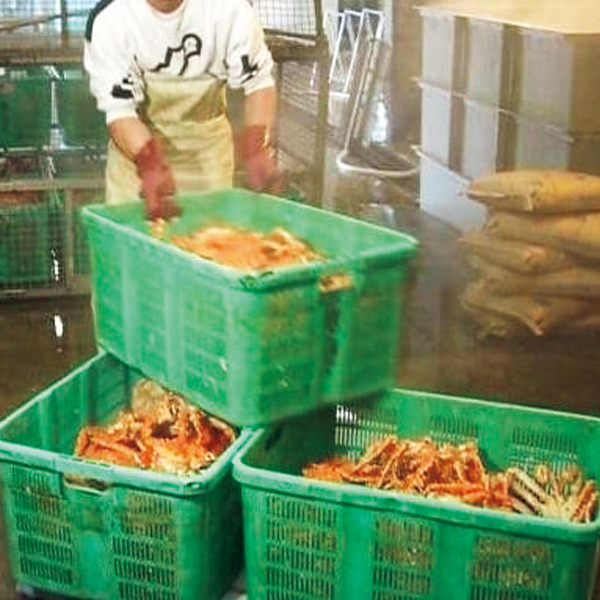 ☆マルダイ水産 北海道産 ボイルたらばがに脚1000g 【006013】 商品画像(4)
