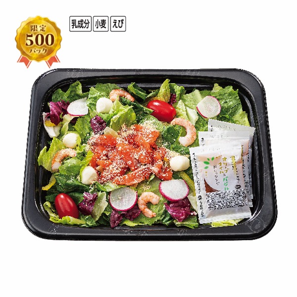 　サーモンとチーズのイタリアンサラダ【S1226】 商品サムネイル