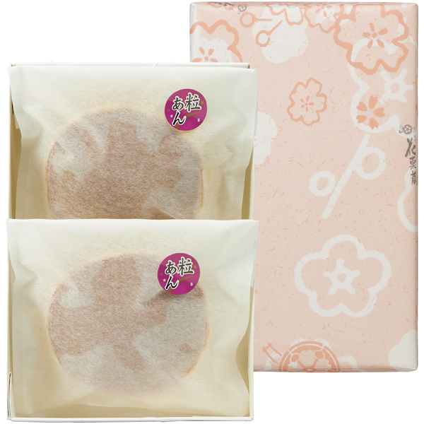 【父の日】SUNCOF パキラの木ナチュレストーン植え（SUSTEE付）＋花菓蔵の粒あんどら焼き【483090】 商品サムネイル