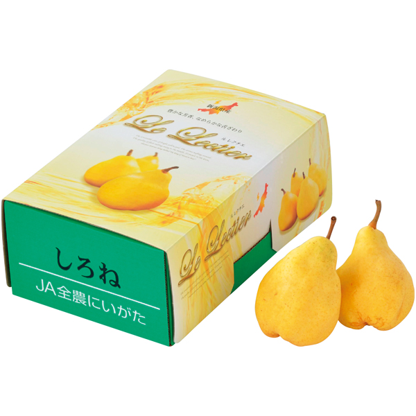 新潟県産（JA新潟かがやき） フルーツフラワーしろねのル レクチエ 5～7個【冬】【017019】 商品サムネイル