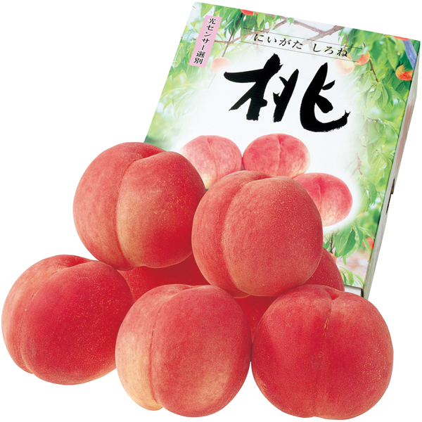 新潟県産（JA新潟かがやき）　フルーツフラワーしろねのもも【013086】【夏ギフト】 商品サムネイル