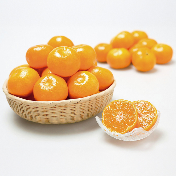 ☆和歌山県有田産（JAわかやま） 有田みかん 【029023】 商品サムネイル