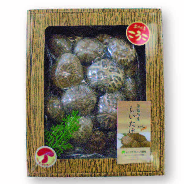 ★[島根県産]原木乾椎茸こうこ（化粧箱）【429773】 商品サムネイル