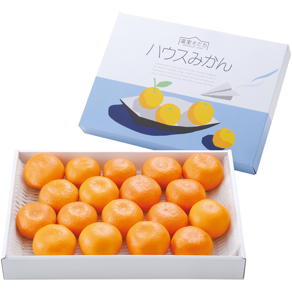 熊本県産　ハウスみかん【020040】【夏ギフト】 商品サムネイル