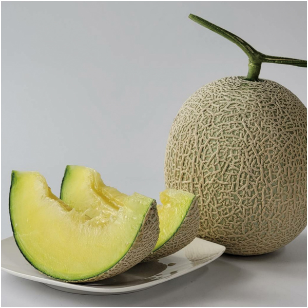 【母の日】熊本県産 母 アールスメロン【484196】 商品サムネイル