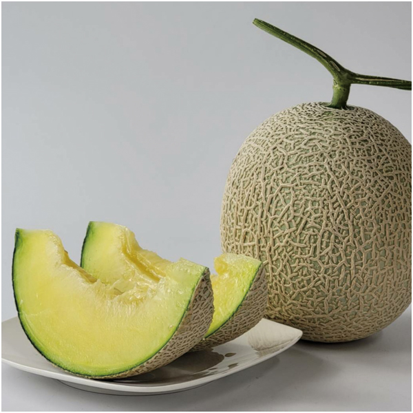 【母の日】熊本県産 母 アールスメロン【484202】 商品サムネイル