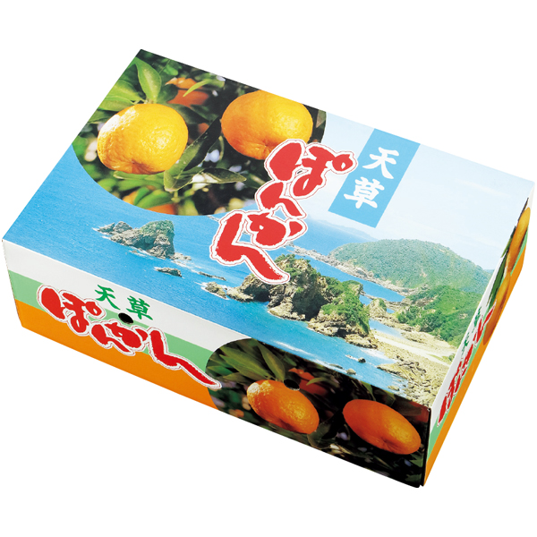 熊本県産 天草ポンカン 【162896】【冬☆】 商品サムネイル