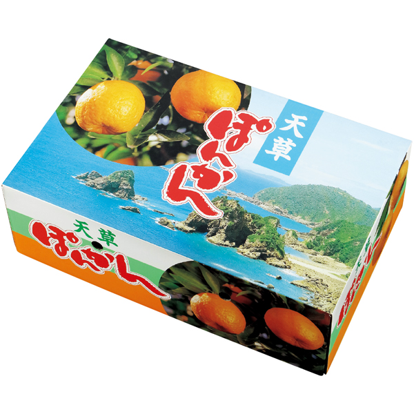 熊本県産 天草ポンカン 【162902】【冬☆】 商品サムネイル