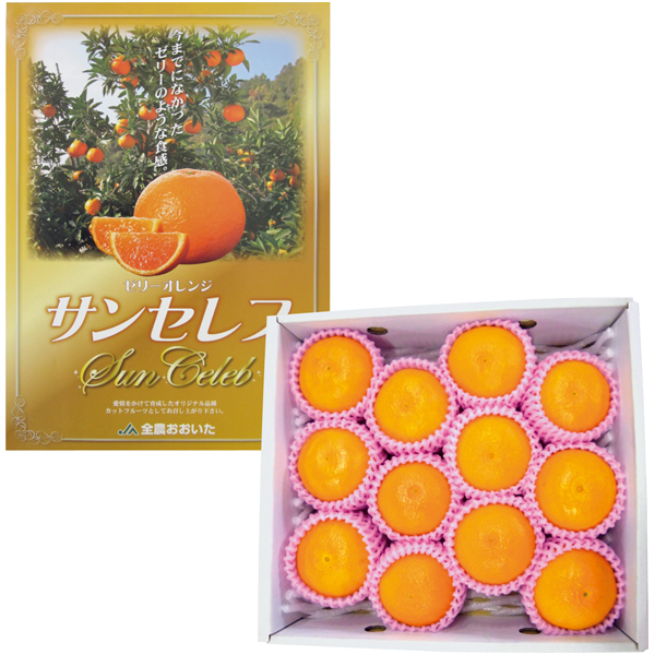 大分県産 ゼリーオレンジ・サンセレブ【冬】【016092】 商品サムネイル