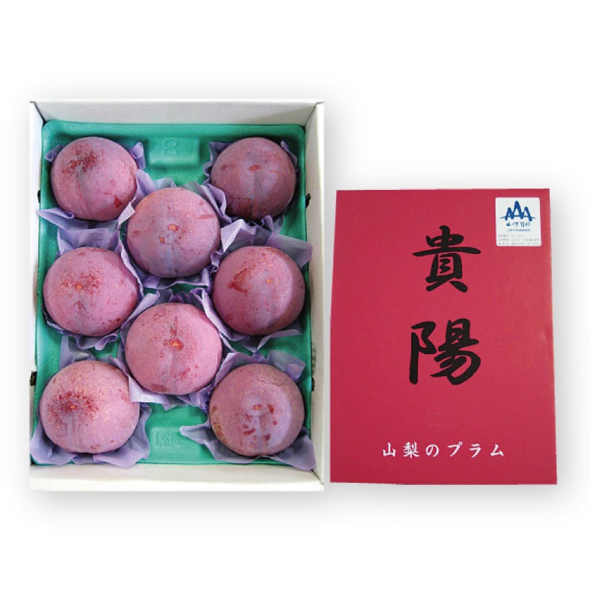 ★[山梨県産・塩山]プラム(貴陽) 1.8kg以上(9～7玉)【426554】 商品サムネイル