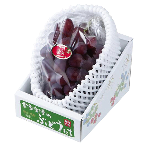 ★[岡山県産]紫苑 600g以上 1房【429287】 商品サムネイル