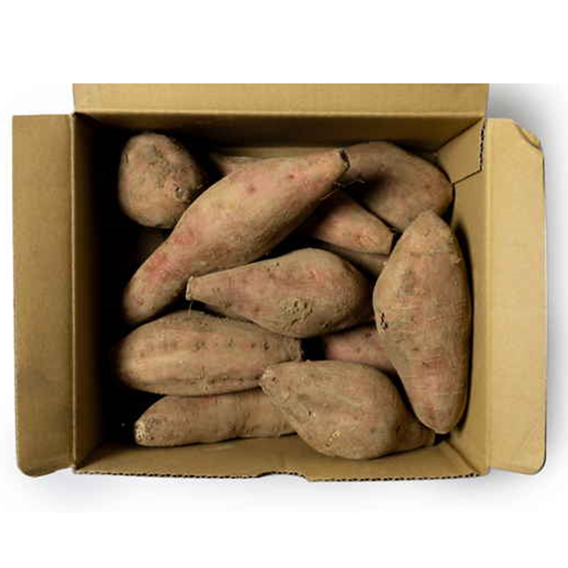 【鹿児島県種子島産】中園ファームの安納芋 Mサイズ 2kg【送料込み】 商品画像(4)