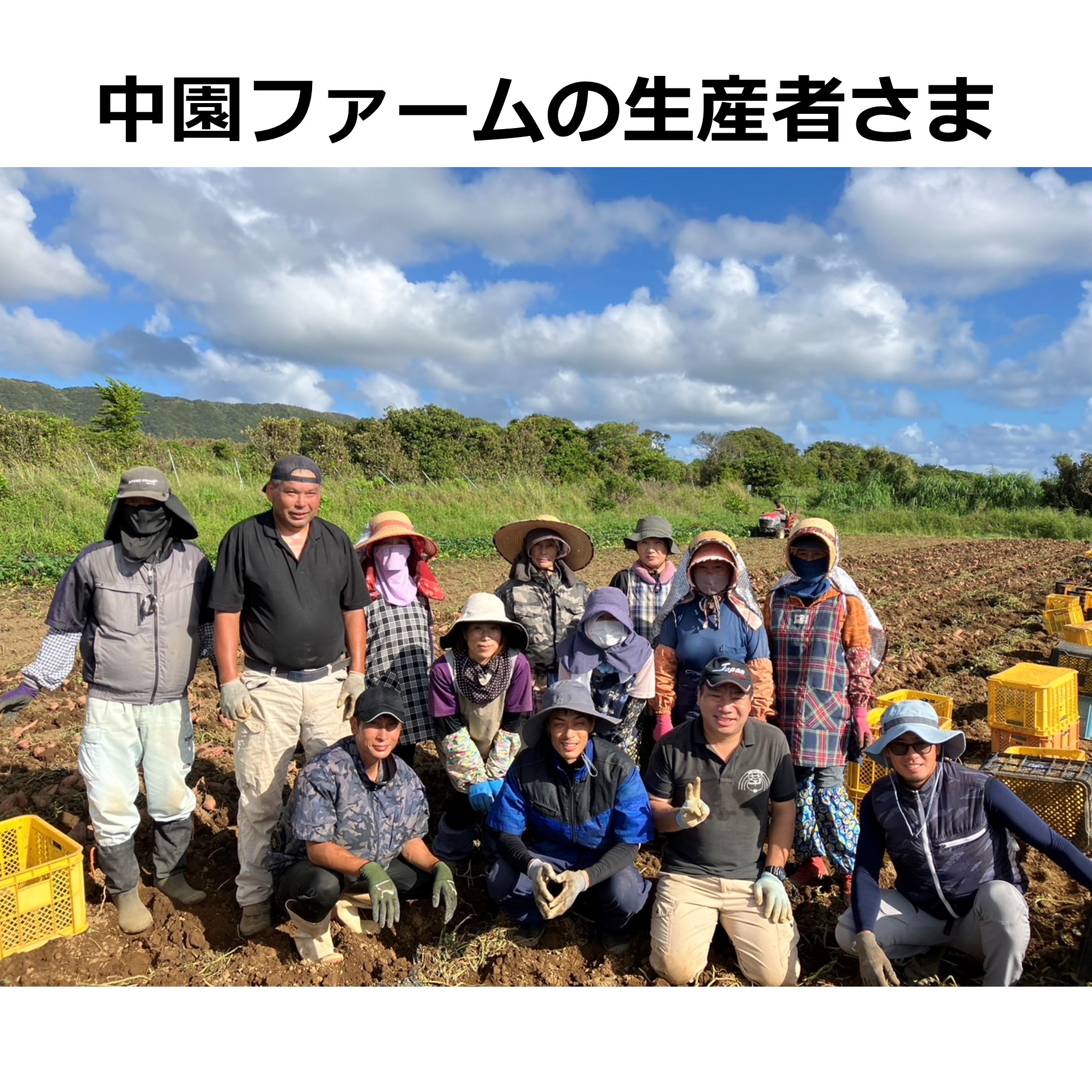 【鹿児島県種子島産】中園ファームの安納芋 LMサイズ 5kg【送料込み】 商品画像(1)